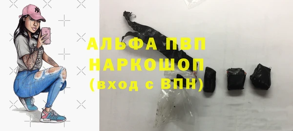 прущая мука Корсаков