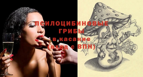 прущая мука Корсаков